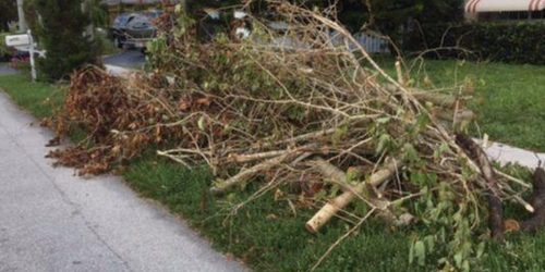 Lawn Clean Up, Brush Clean Up, Lawn Care, Seasonal Yard Clean Up, Fall Clean Up, Spring Clean Up, Free Estimate