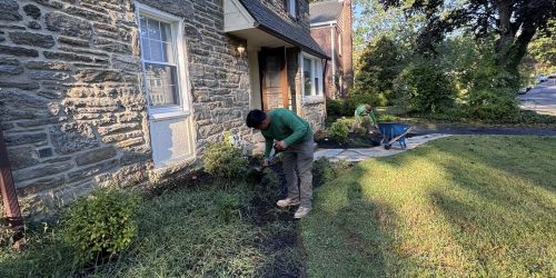 Lawn Clean Up, Brush Clean Up, Lawn Care, Seasonal Yard Clean Up, Fall Clean Up, Spring Clean Up, Free Estimate