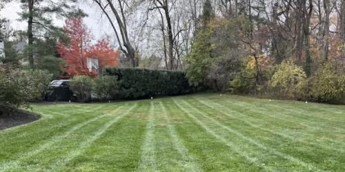Lawn Mowing, Lawn Care, Mowing Company, Grass Cutting, Free Estimate