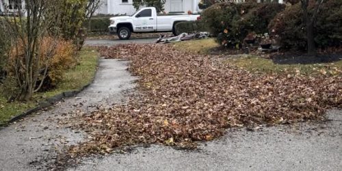 Leaf Removal, Lawn Cleanup, Lawn Care, Fall Cleanup, Spring Clean Ups, Free Estimate