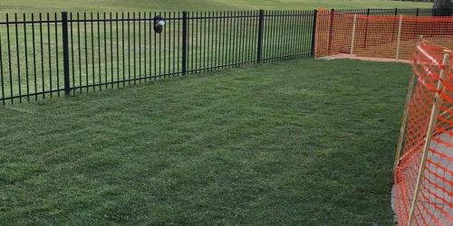Sod Installation, New Lawn Installation, Sod Installation Contractor, Grass Installation, Free Estimate