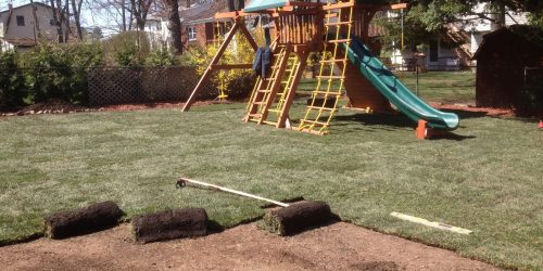 Sod Installation, New Lawn Installation, Sod Installation Contractor, Grass Installation, Free Estimate