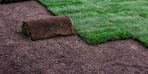 Sod Installation, New Lawn Installation, Sod Installation Contractor, Grass Installation, Free Estimate