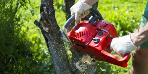 Tree Cutting, Tree Service, Free Estimates